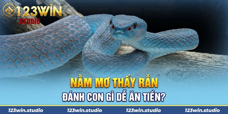 Nằm mơ thấy rắn đánh con gì dễ ăn tiền?